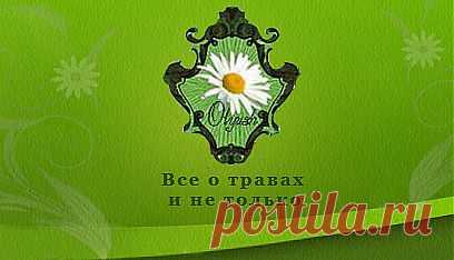 Травник,все о растениях:описание,сбор,заготовка,медицина,
рецепты,отвары,кулинария,магия,мифы