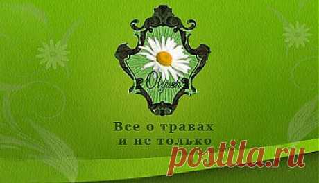Травник,все о растениях:описание,сбор,заготовка,медицина,
рецепты,отвары,кулинария,магия,мифы