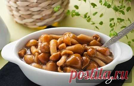 Засолка опят на зиму – фото рецепт, как солить опята / рецепт с фото