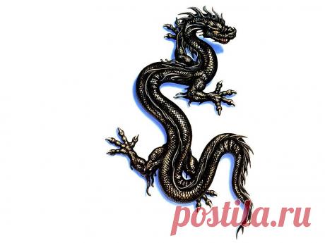 Картинки для срисовки драконов (31 фото) ⭐ Забавник