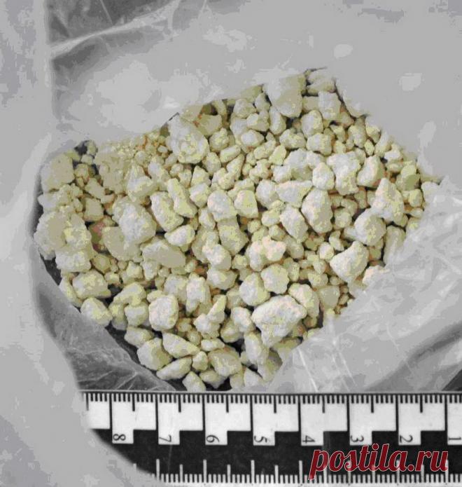 Курьера с крупной партией героина задержали в Твери | Tverigrad.ru