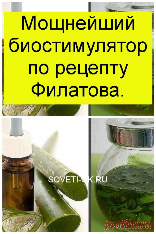 Мощнейший биостимулятор по рецепту Филатова.