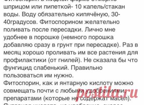 Фотография в альбоме «Рецепты грунта для цветов»