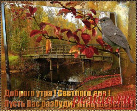 Интересные новости