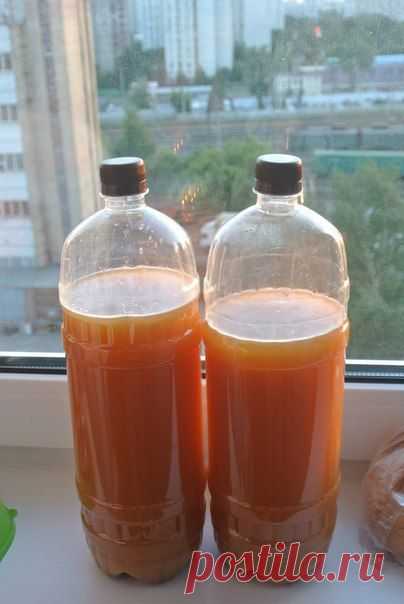 Шустрый Повар &#x007C; Рецепты &#x007C; Кулинария