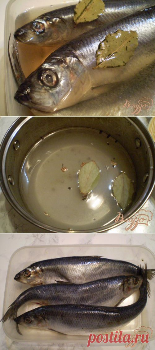 Маринованная сельдь