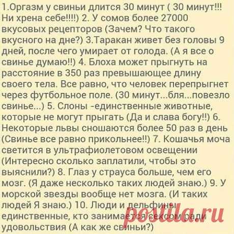 Одноклассники
