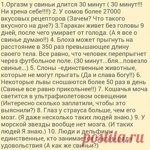 Одноклассники