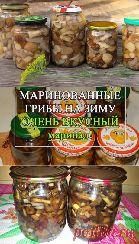 (93) Одноклассники