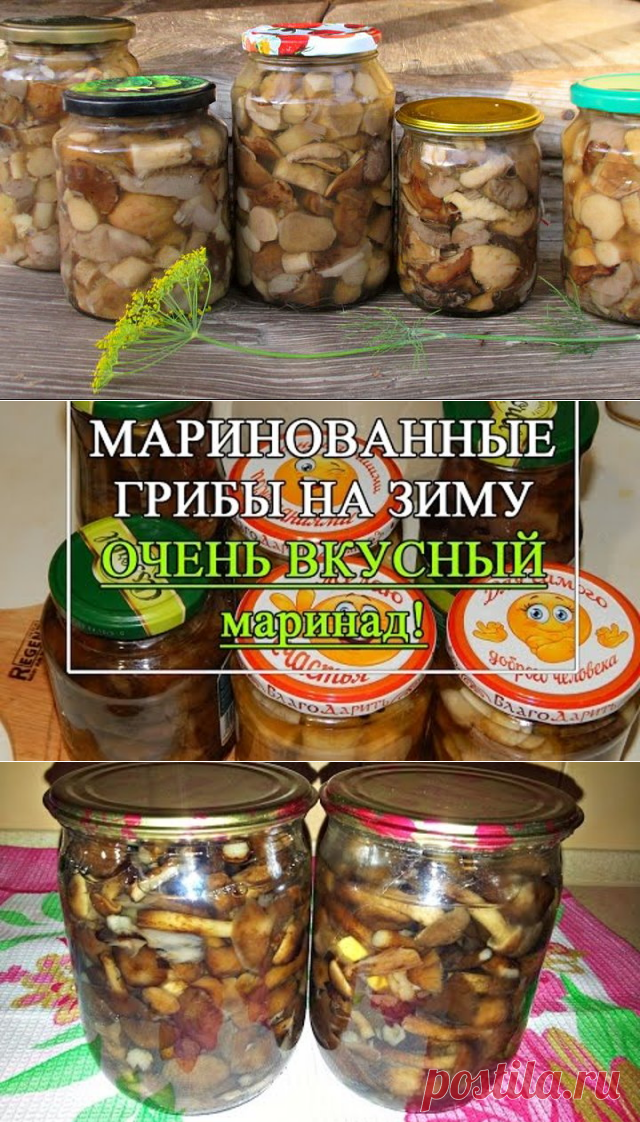 (93) Одноклассники
