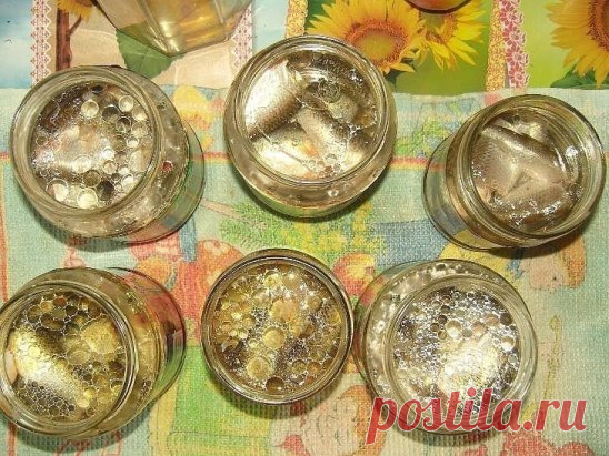 Для всех любителей рыбки! 
9 уникальных рецептов консервирования рыбы