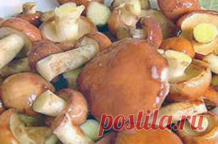 Маслята, маринованные на зиму