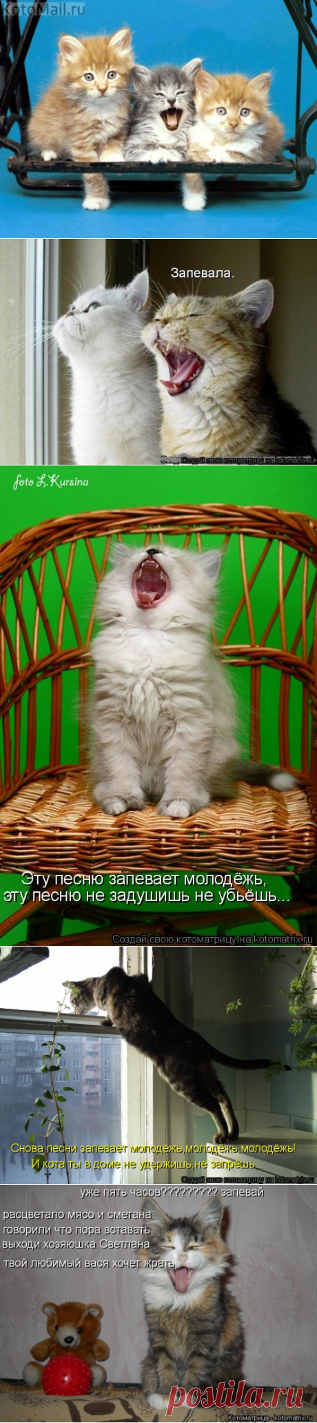 Маленький запевало))) | KotoMail.ru