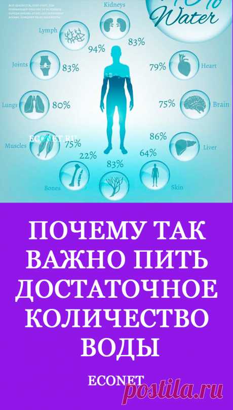Почему так важно пить достаточное количество воды

Люди до сих пор не смогли найти ответ, чем можно заменить воду. С самого начала жизни мы воспринимаем воду как неотъемлемую часть бытия. Вода как один из самых распространенных элементов присутствует практически во всех растениях, животных, человеке. Она - составная часть крови. А наш организм в основном состоит из воды: в младенчестве ее 95%, в старости - до 6