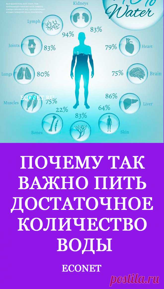 Почему так важно пить достаточное количество воды

Люди до сих пор не смогли найти ответ, чем можно заменить воду. С самого начала жизни мы воспринимаем воду как неотъемлемую часть бытия. Вода как один из самых распространенных элементов присутствует практически во всех растениях, животных, человеке. Она - составная часть крови. А наш организм в основном состоит из воды: в младенчестве ее 95%, в старости - до 6