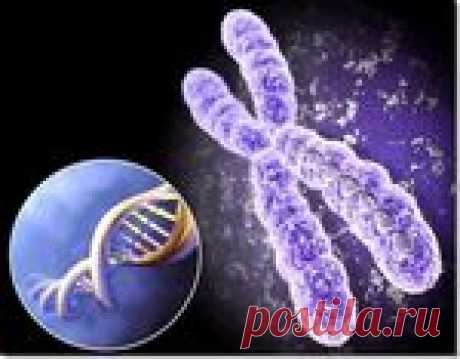 Безумные факты из мира генетики