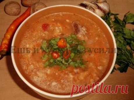 Грузинский суп харчо из говядины в русской вариации Суп харчо переводится с грузинского как "говяжий суп", поэтому готовится суп харчо из говядины.Рецепт не сложный и не строгий и допускает некоторые вариации