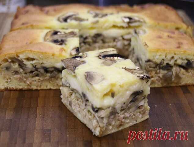 Заливной пирог с курицей и грибами

Для приготовления заливного пирога с курицей и грибами нам потребуется: 
Для начинки:
300 г вареного куриного филе;
1 луковица; 
150 г свежих шампиньонов;
небольшой пучок зеленого лука;
соль, перец - по вкусу;
2 ст. л. растительного масла. 
Для теста: 
200 г муки;
270 г кефира;
2 ст. л. майонеза;
3 яйца;
щепотка соли;
11 г разрыхлителя.

Куриное филе отварить в течение 15-20 минут и остудить. Очищенный репчатый лук мелко нарезать. 
В ско...