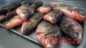 5 продуктов, которые улучшают работу мозга