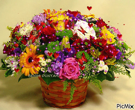 3509279_eb271.gif (500×408)