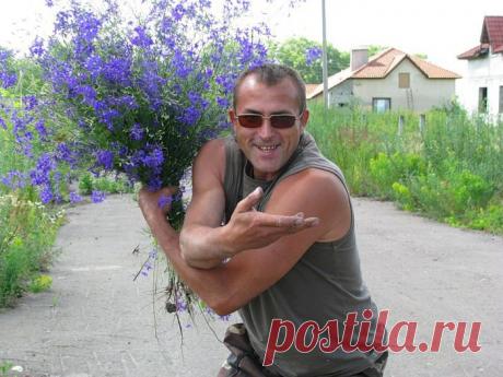 цветы полевые , цветы полевые....