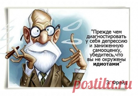 Веселые фразы и премудрости...