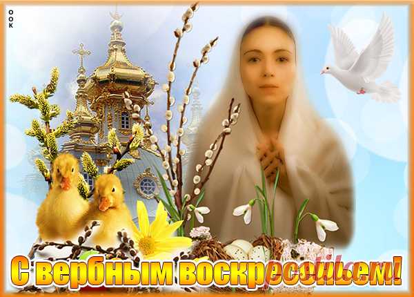 Картинка Отличное поздравление с Вербным воскресеньем