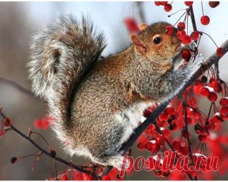 Василий Тимошин vasiliy-timoshin (Vasilek), Москва, Россия на Мой Мир@Mail.RU