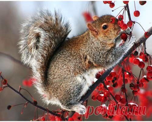 Василий Тимошин vasiliy-timoshin (Vasilek), Москва, Россия на Мой Мир@Mail.RU