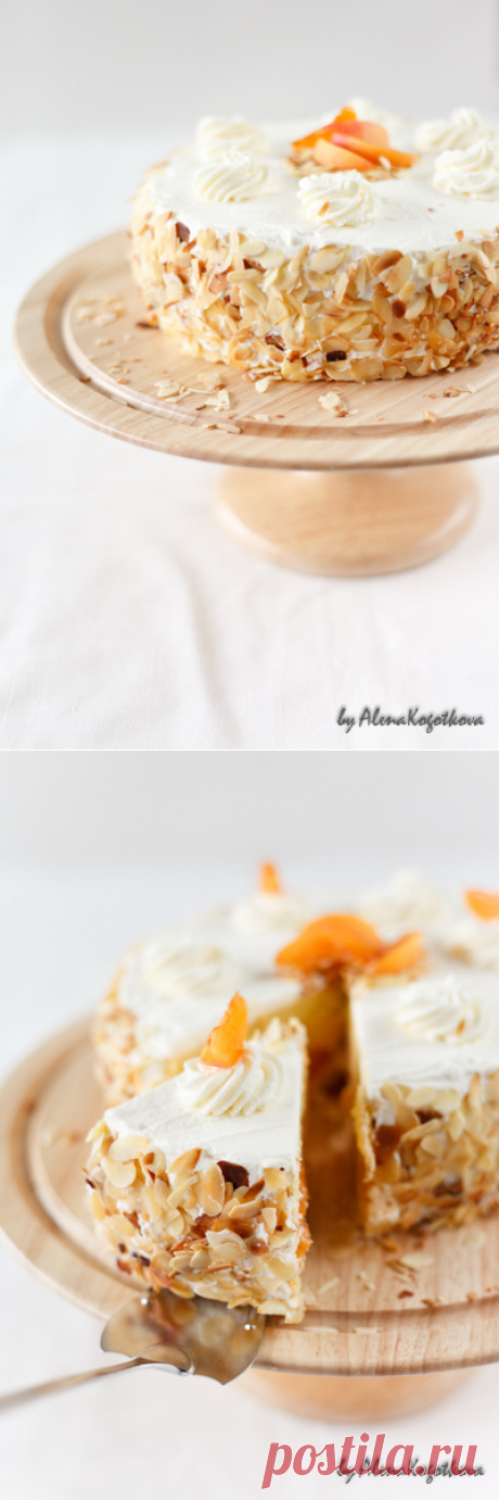 Абрикосово-сливочный торт "Шифон" - Блог - ПОПРОБУЕМ ЖИЗНЬ НА ВКУС?!