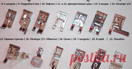 Кому на Руси шить хорошо, или больше лапок - хороших и разных
