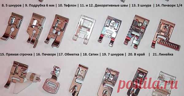 Кому на Руси шить хорошо, или больше лапок - хороших и разных