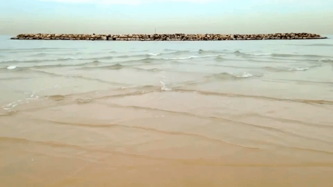 Краски мира