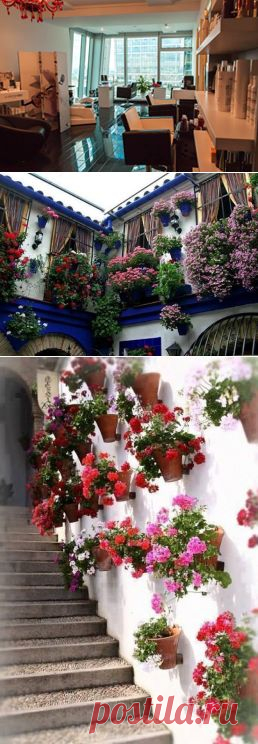 Spain Surrounded by Beautiful Flowers ᴷᴬ - Architecture & Design