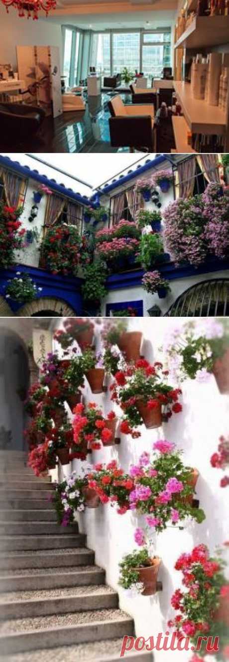 Spain Surrounded by Beautiful Flowers ᴷᴬ - Architecture &amp; Design