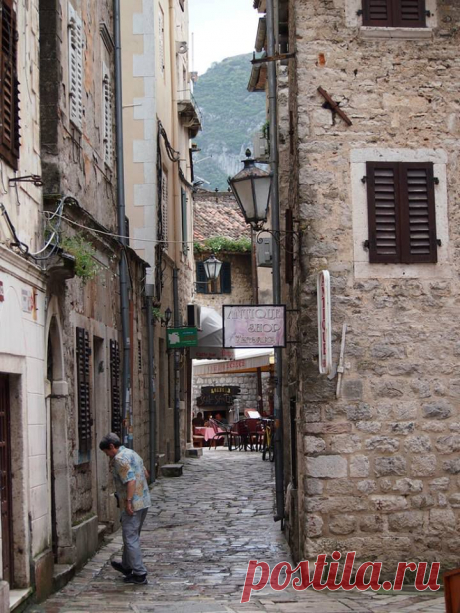 Kotor