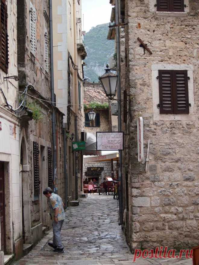 Kotor