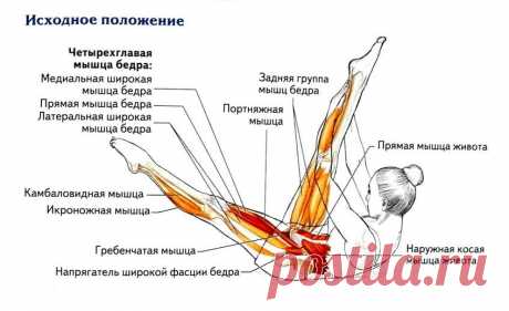 Статистическое растяжение мышц: упражнения на растяжку