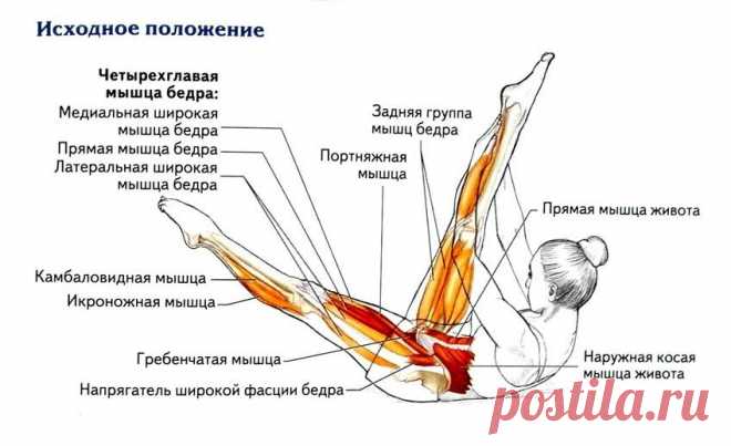 Статистическое растяжение мышц: упражнения на растяжку