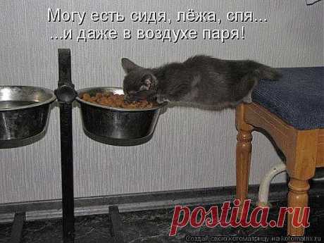 НЕПЛОХО УСТРОИЛСЯ