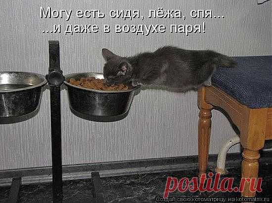 НЕПЛОХО УСТРОИЛСЯ