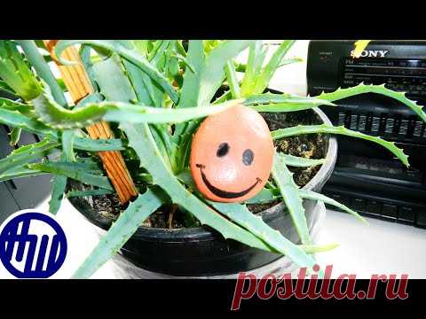 Червячок-рыхлитель для цветочных горшков. Мастер класс. DIY