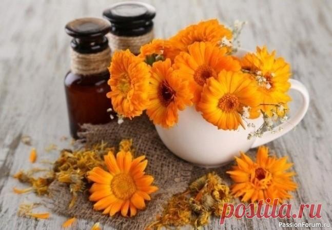 Полезная календула В народной медицине календула считается одним из самых ценных, чудодейственных и универсальных растений. Календула применялась в качестве лечебного средства несколько веков назад и используется до сих пор, несмотря на достижения современной фармацевтической промышленности. Календула...