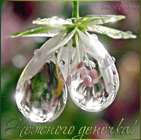 7841626.gif (600×597)