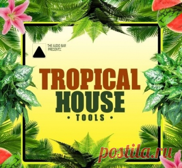 The Audio Bar Tropical House Tools [WAV, MiDi, Synth Presets] free download mp3 music 320kbps