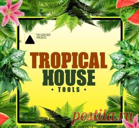 The Audio Bar Tropical House Tools [WAV, MiDi, Synth Presets] free download mp3 music 320kbps