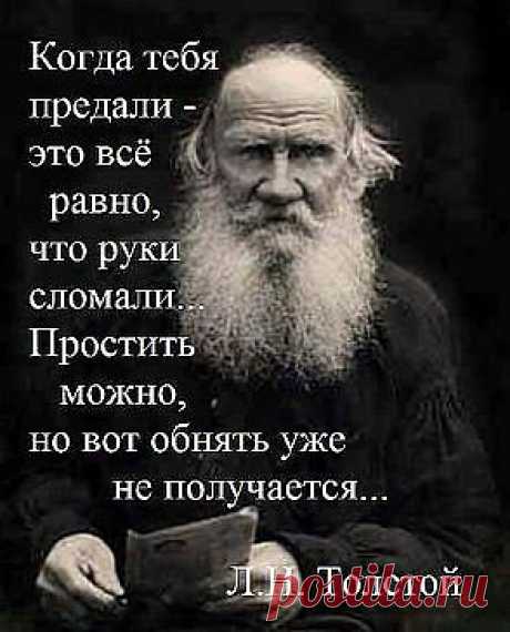 (23) Одноклассники