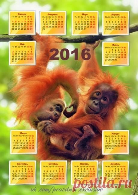 КАЛЕНДАРЬ НА 2016 ГОД ОБЕЗЬЯНЫ (авторская работа) | 22 фотографии#скачать #бесплатно #календарь_2016  можно, открыв #картинку в оригинале
