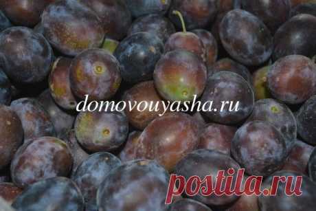 Маринованные сливы, рецепт с пошаговыми фотографиями. | Народные знания от Кравченко Анатолия