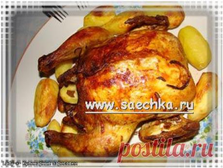Маринованная "Золотая курочка" | рецепты на Saechka.Ru
